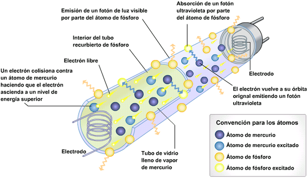 proceso de ganeracin de la luz en un tubo fluorescente