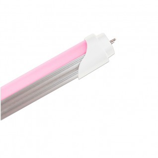 Tubo led rosa T8  17W 1200 mm